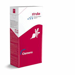 Zeige Details für Zuckerrübensaatgut - Clemens Bild von Zuckerrübensaatgut - Clemens